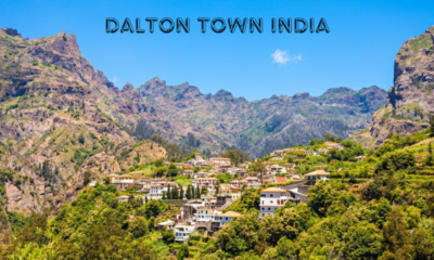 dalton town india