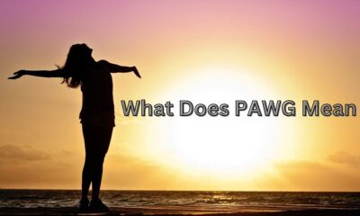 what does pawg mean