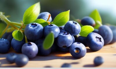 blue fruits