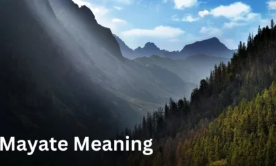 Mayate Meaning
