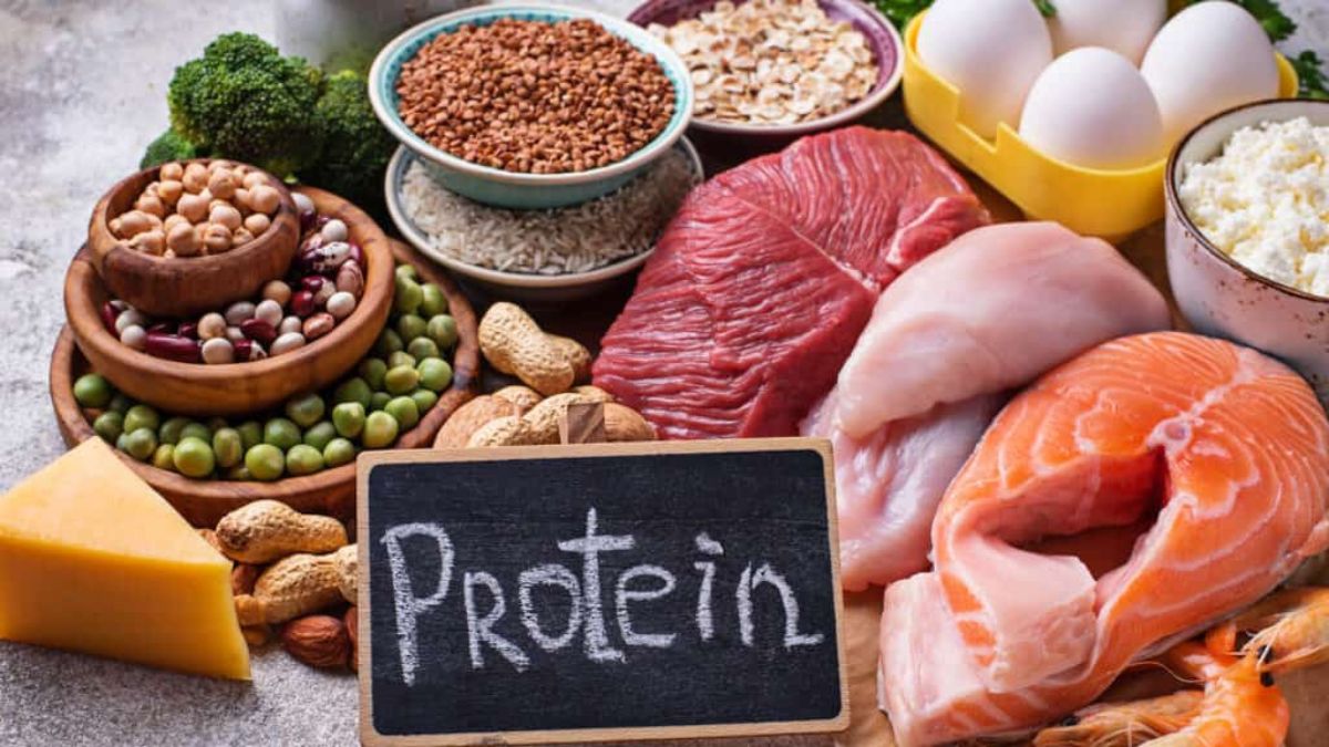 gym protein foods